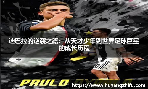 HB火博体育官方网站