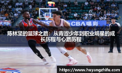 HB火博体育官网